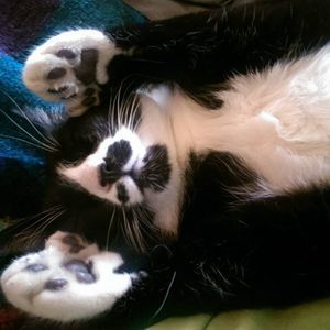 Meet your Posher, Lindsay